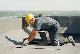 Best Skylight Installation and Repair  in Waverly, TN